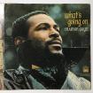 Marvin Gaye